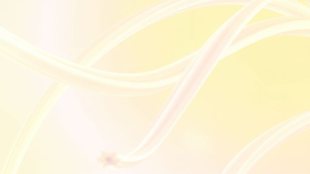 Imagem ilustrativa sobre Intuição: Sua Voz Interior